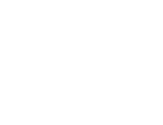 Logo-weiss